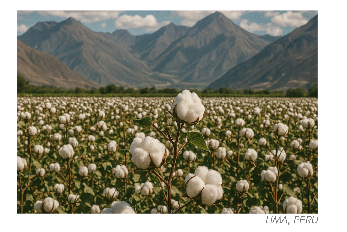 This Is Why Your Shirt Feels Better Than Theirs.